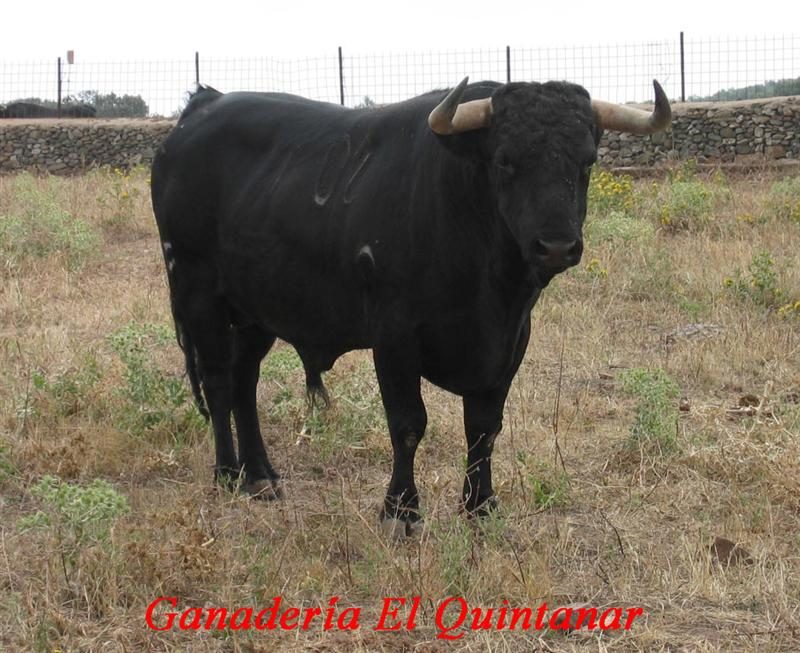 garrovillas1022 elquintanar medium