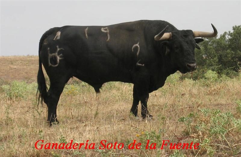 garrovillas191 sotodelafuentebis medium