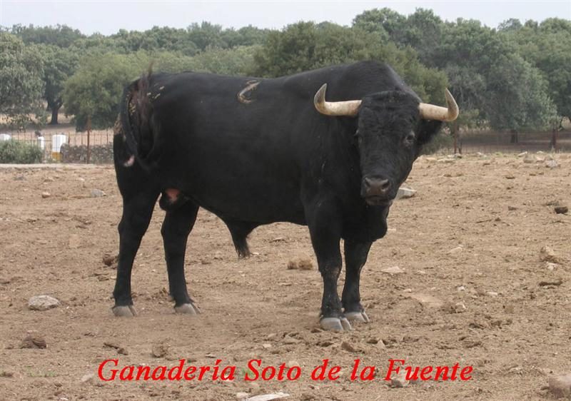 garrovillas21 sotodelafuente medium