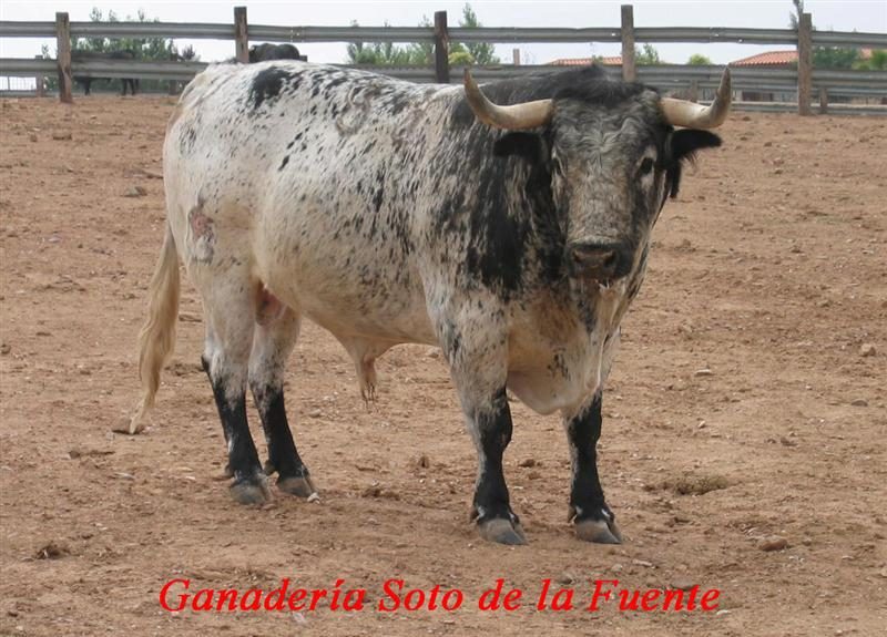 garrovillas821 sotodelafuente medium