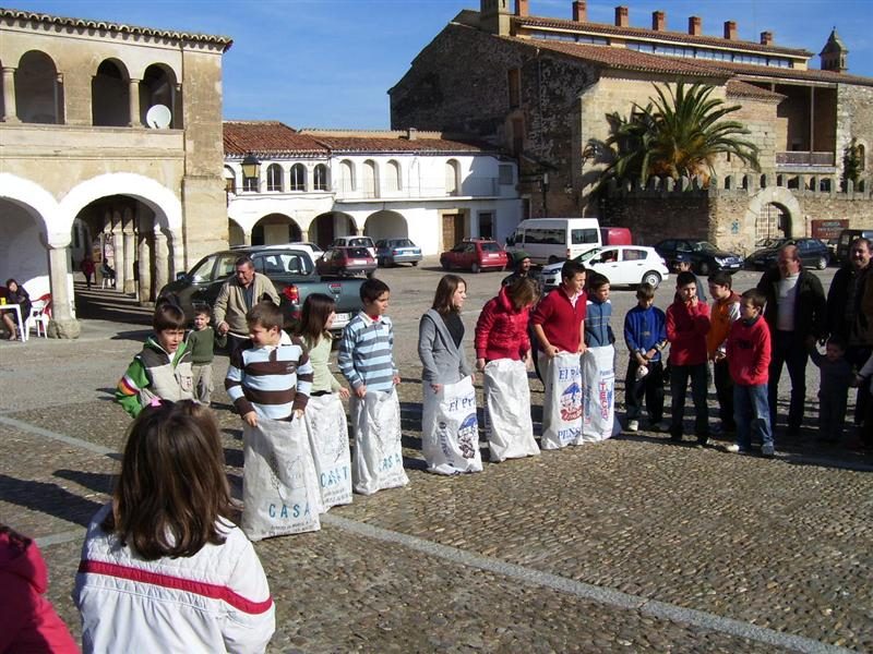 san anton 088 medium