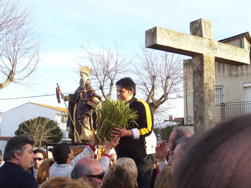 san anton 091 medium