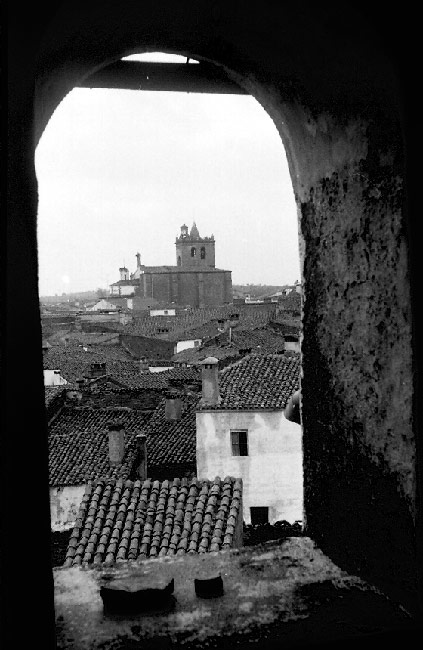 Garrovillas de Alconetar en la Red