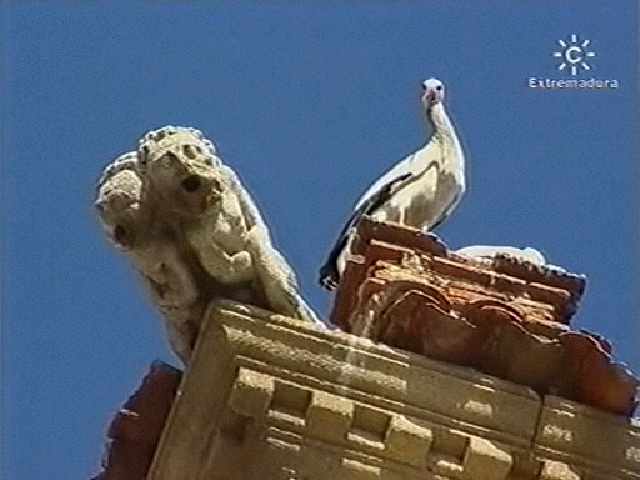 2002 El programa "Mi tierra"