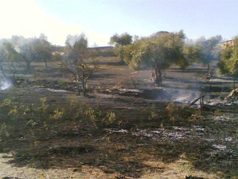 Fuego en el Cerrunduqui