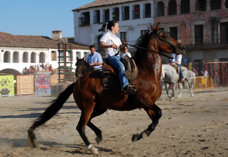 Dia del Caballo 2007