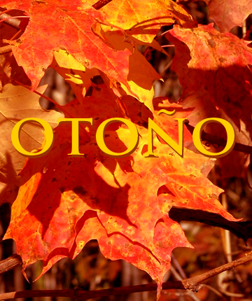 Otoño Cultural 2007