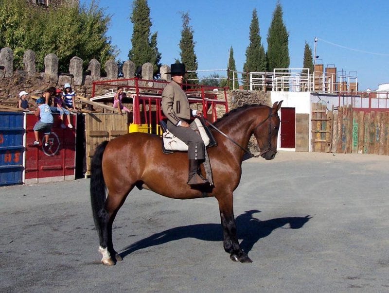 Carrera de cintas 2008