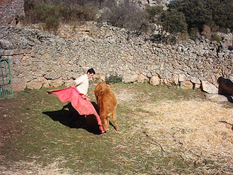 Vuelven las vaquillas