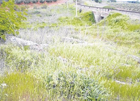 Medio centenar de construcciones no están protegidas