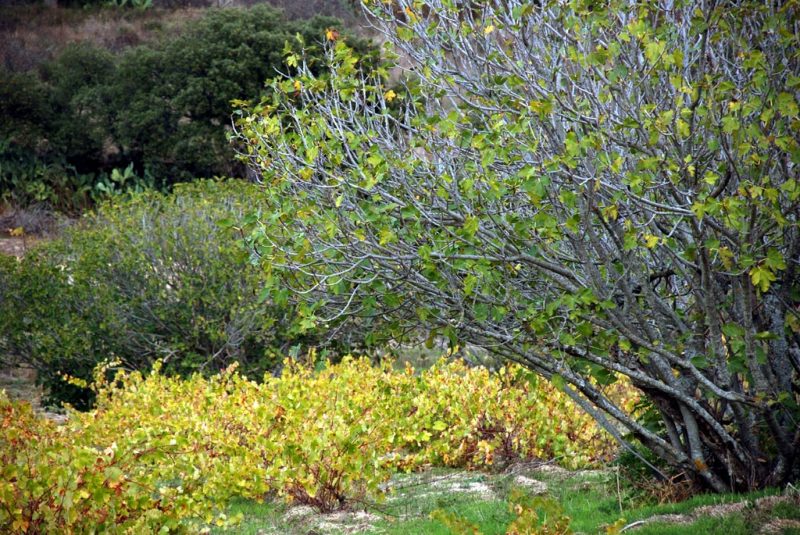 Resultados del I concurso de fotografía digital Al-Konetara