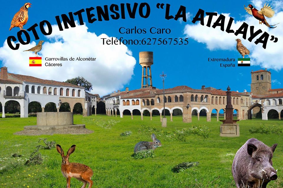 Los campeonatos provinciales de caza menor con perro se celebrarán el 26 de octubre