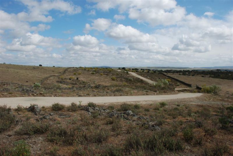 Publicado en Diario Oficial de Extremadura