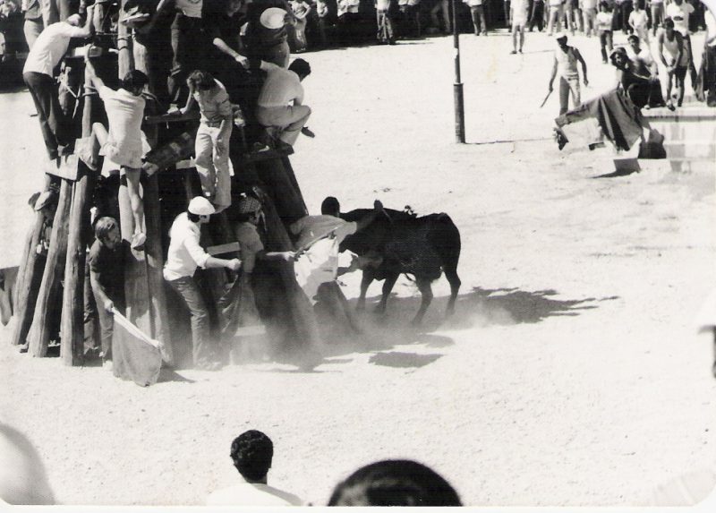 Fallados los premios literarios y fotograficos de la VI muestra del almendro en flor