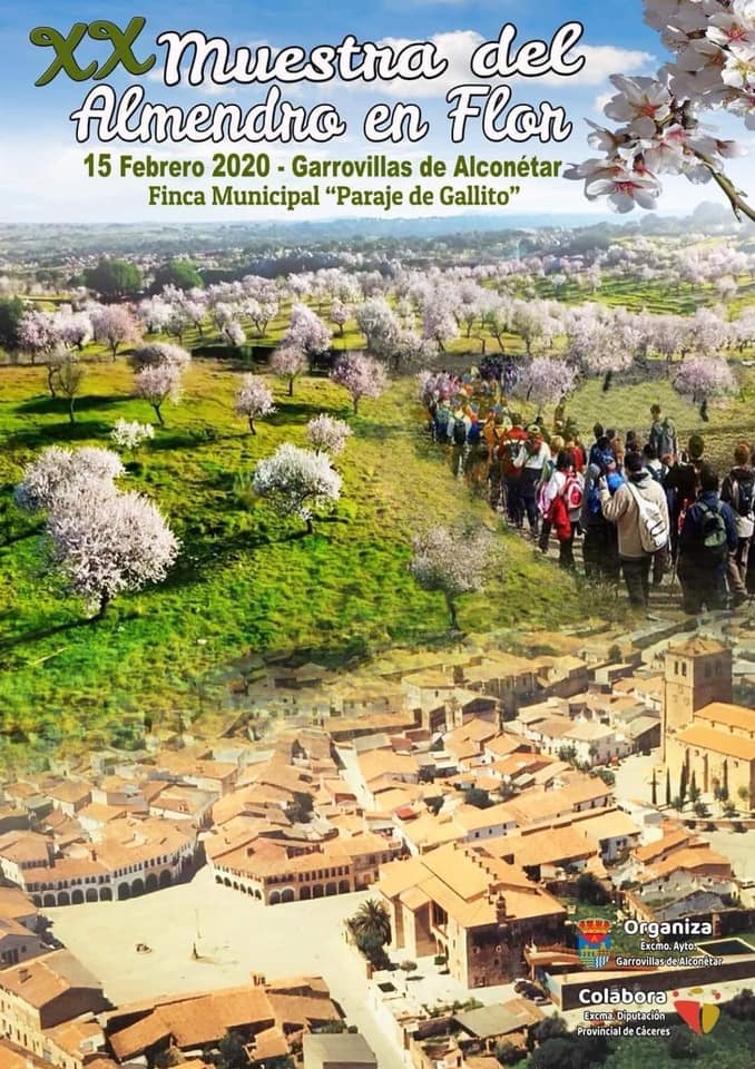 Almendro en flor 2020