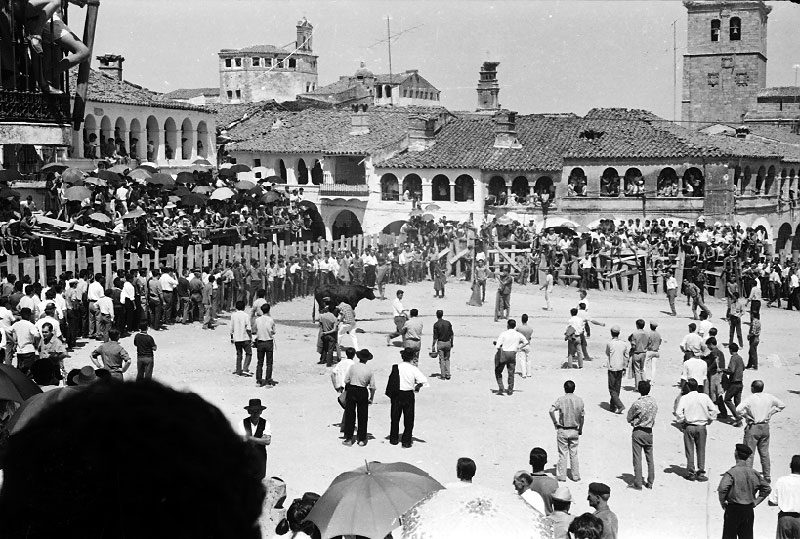 La Capea de 1971 de Gonzalo Evole