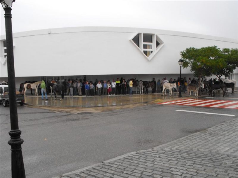 Rodeo de San MAteo 2009