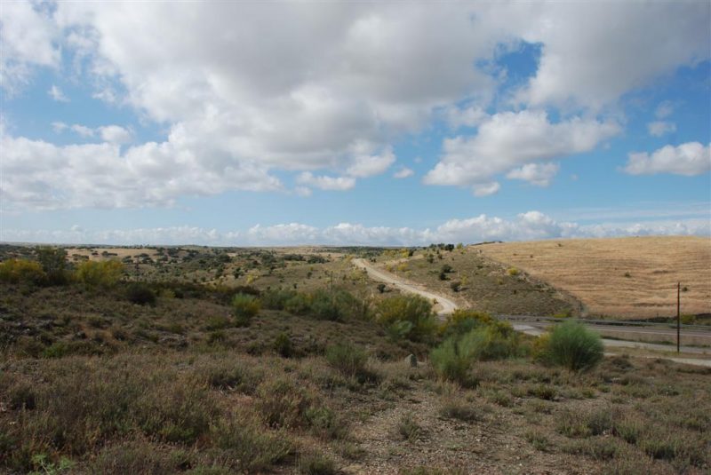 RESOLUCIÓN de 4 de noviembre de 2009, de la Dirección General de Desarrollo Rural.