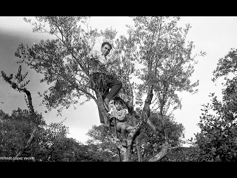 1974 1ª Parte Video hecho con Fotografías del Álbum Febrero a Abril del 1974