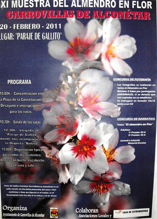 XI Muestra del Almendro en Flor