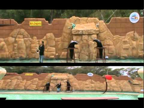 Excursion a la reserva natural el Castillo de las Guardas