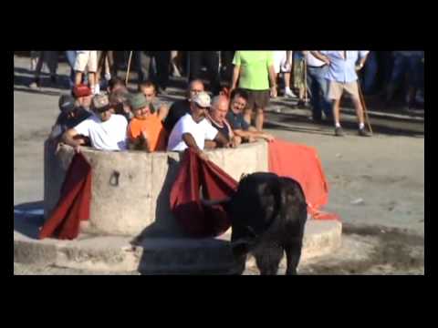 toros 2010 , video en la red