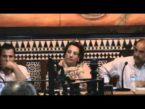 Pleno municipal ordinario de 15 de julio de 2011 en videos