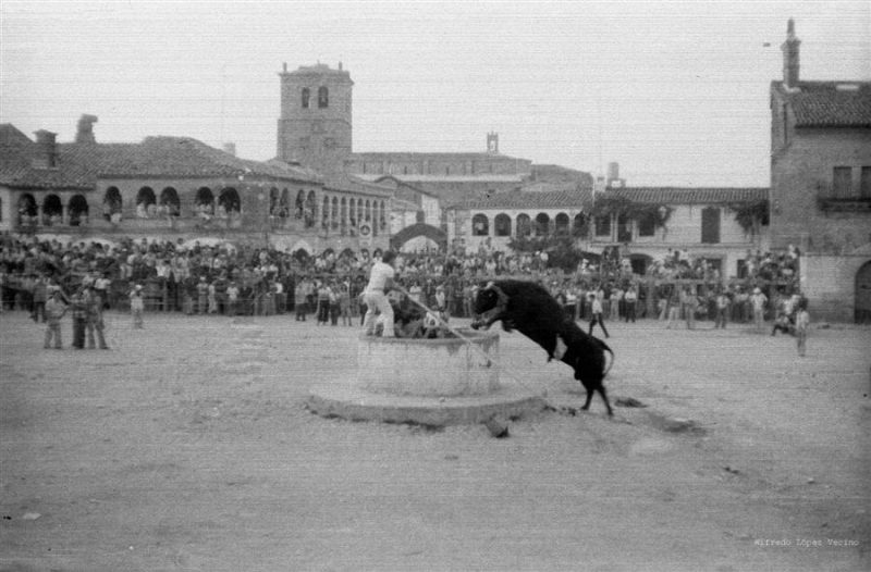 Fiestas Patronales San Roque 2011