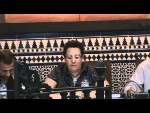 Pleno Ordinario del 16 de Septiembre de 2011