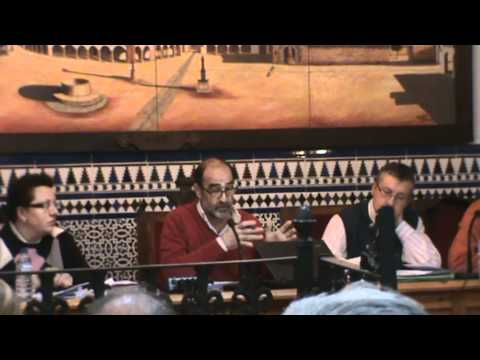 Pleno ordinario enero 2012