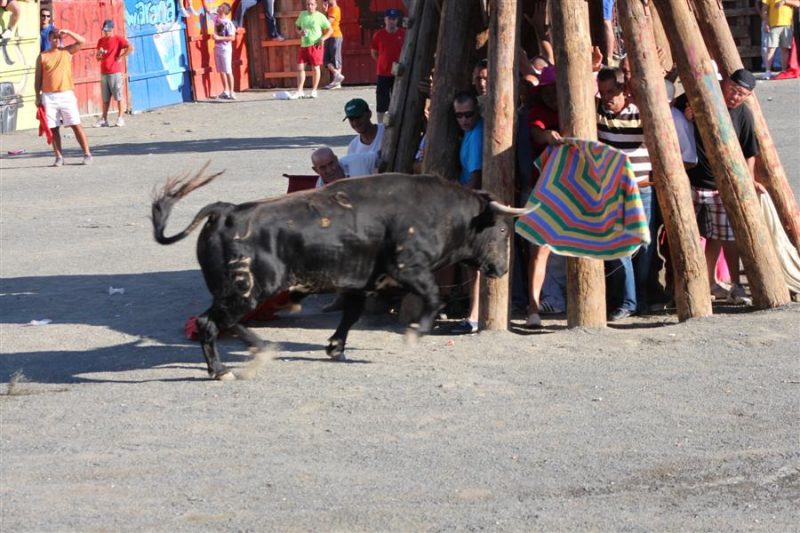 FESTEJOS TAURINOS 2012