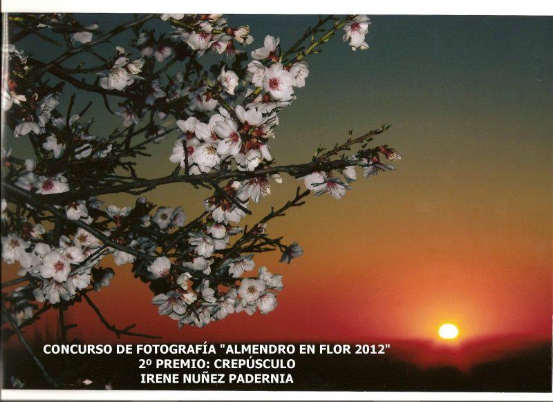 Exposicion De Imagenes