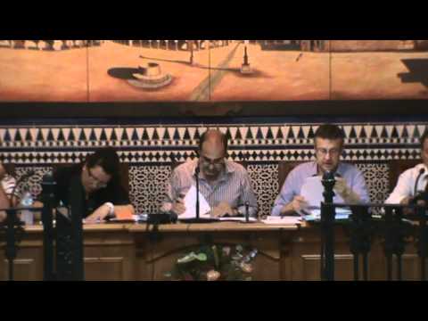 Pleno Ordinario Mayo 2012