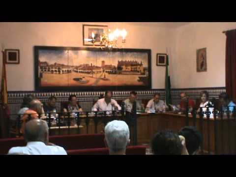 PLENO EXTRAORDINARIO MES DE JUNIO