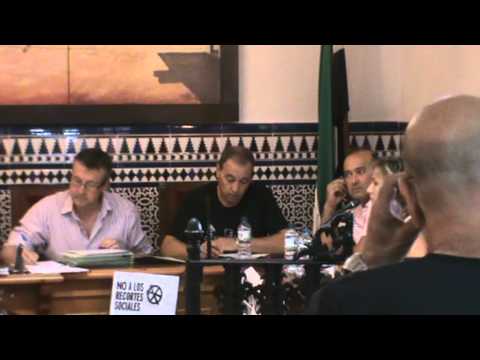 Pleno ordinario Julio 2012