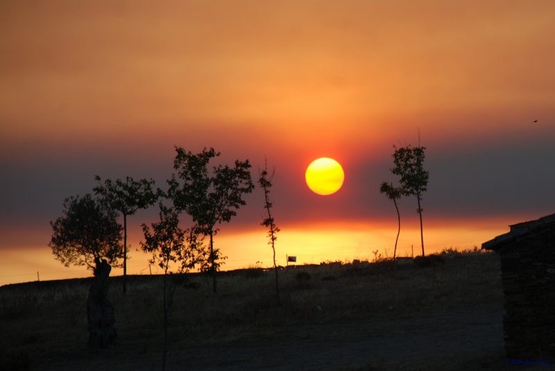 Resultado del Concurso de Pesca 2012