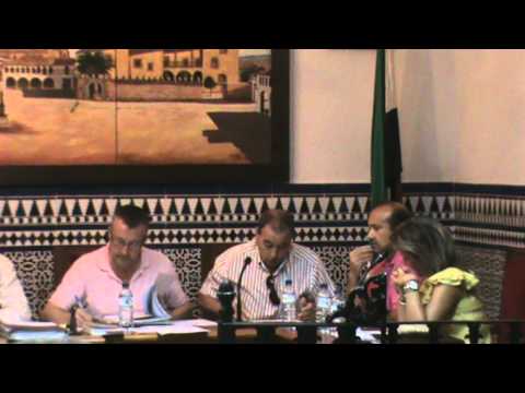 Pleno extraordinario 2 de agosto 2012