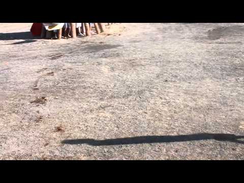 Toros y vaquillas martes 14 de agosto