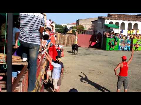 Vaquillas y toros viernes 17 de agosto 2012