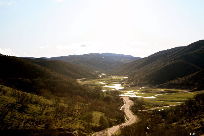 Anuncio sobre Araya de la CONSEJERIA DE AGRICULTURA, DESARROLLO RURAL, MEDIO AMBIENTE Y ENERGIA
