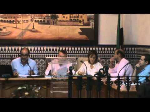 Pleno de 28 septiembre 2012