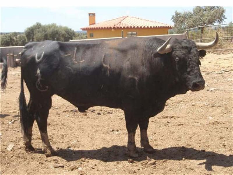 RUTA CAMINOS Y VEREDAS 2012