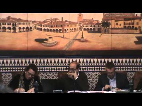 Pleno ordinario Noviembre 2012