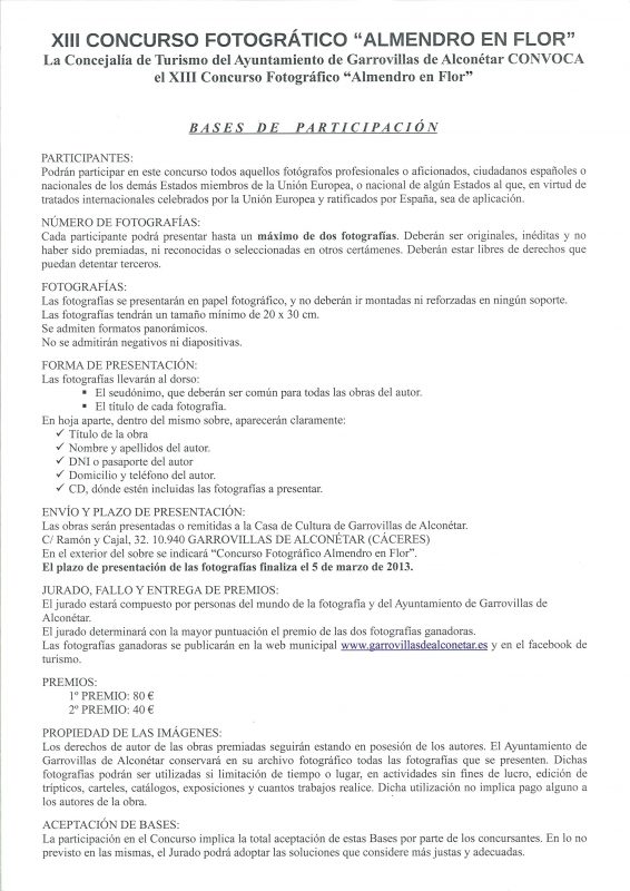 Actividades con motivo de la Fiesta del Almendro en Flor