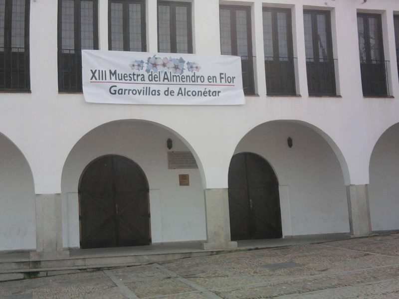 Cambio de fecha de la muestra del almendro en flor
