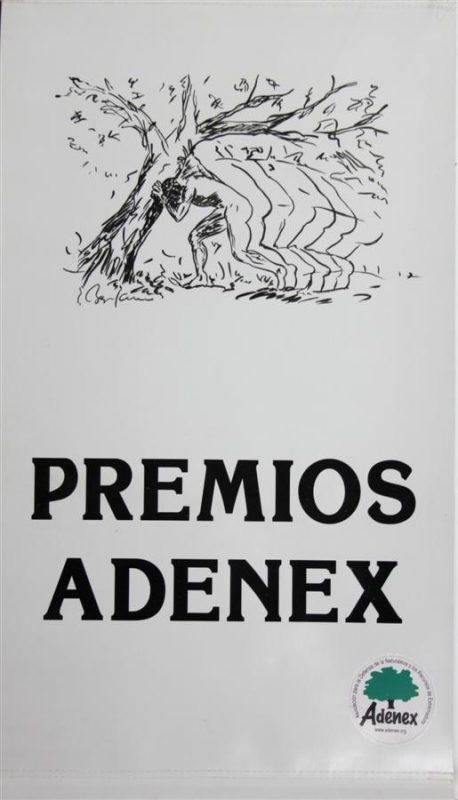 Entrega de los premios Adenex 2012