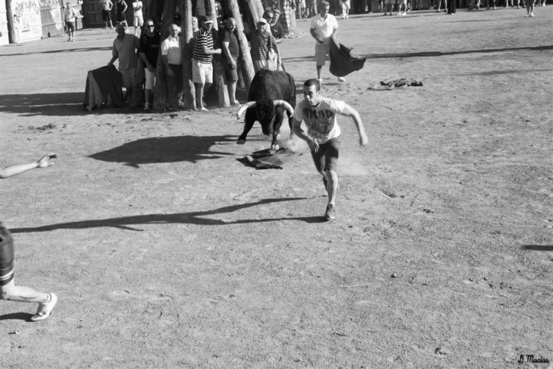 Vaquillas y toros martes 13