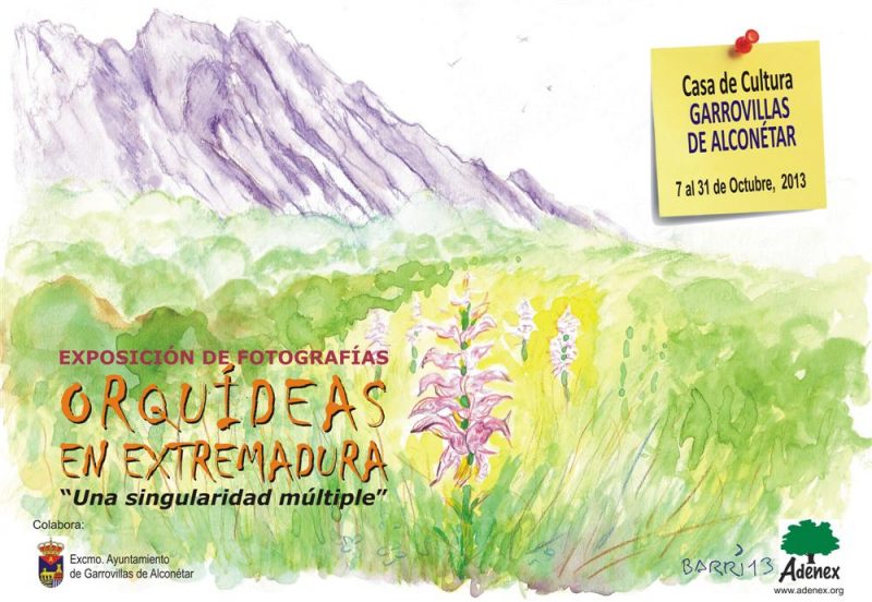 LA EXPO ORQUIDEAS SIGUE SU CAMINO POR LA REGION