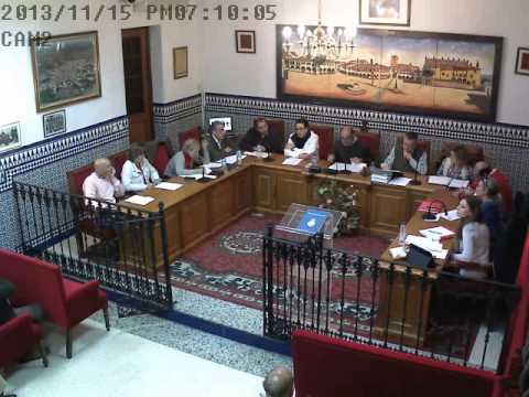 2013 Pleno ordinario mes de noviembre