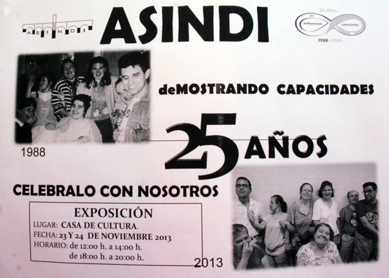 Asociación para la Integración de Personas con Discapacidad